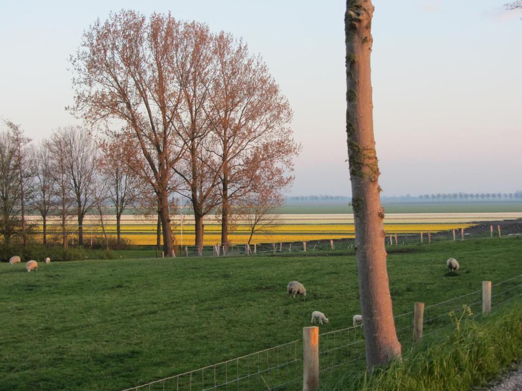 Bed En Breakfast In Het Fruit Zuidoostbeemster Zewnętrze zdjęcie